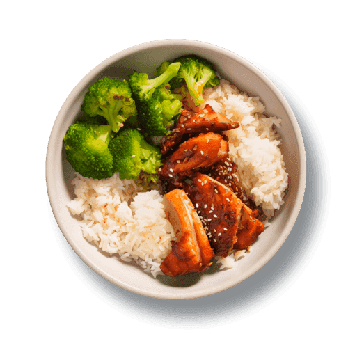 Japanese Meals macro photo