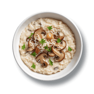 Risotto macro photo