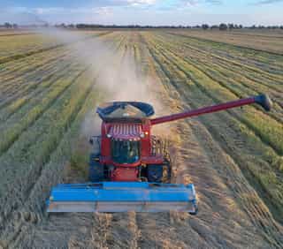Rice9Full-6.jpgv1.jpg