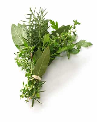 Herbs and spices macro photo