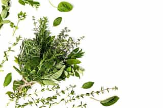 Herbs and spices