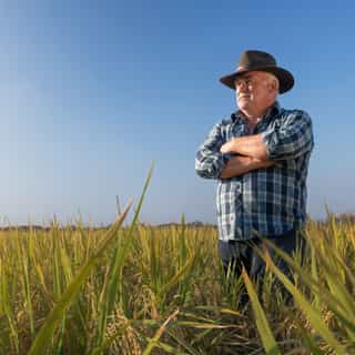 24526 SunRice Sustainability_2_mobile.jpeg