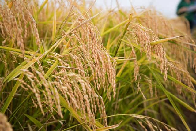 RRAPL_April_2022-DSC05148 RT.jpg