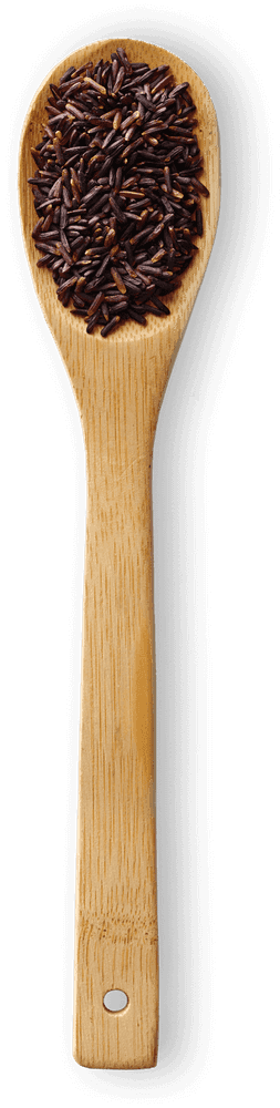 Black Rice macro photo