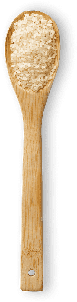 Sushi / Koshihikari macro photo