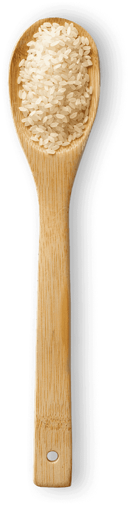 Medium Grain macro photo