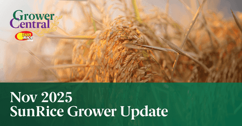 Nov 2025 SunRice Grower Update Image