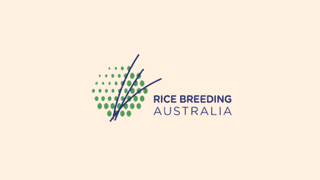 Rice Breeding Australia